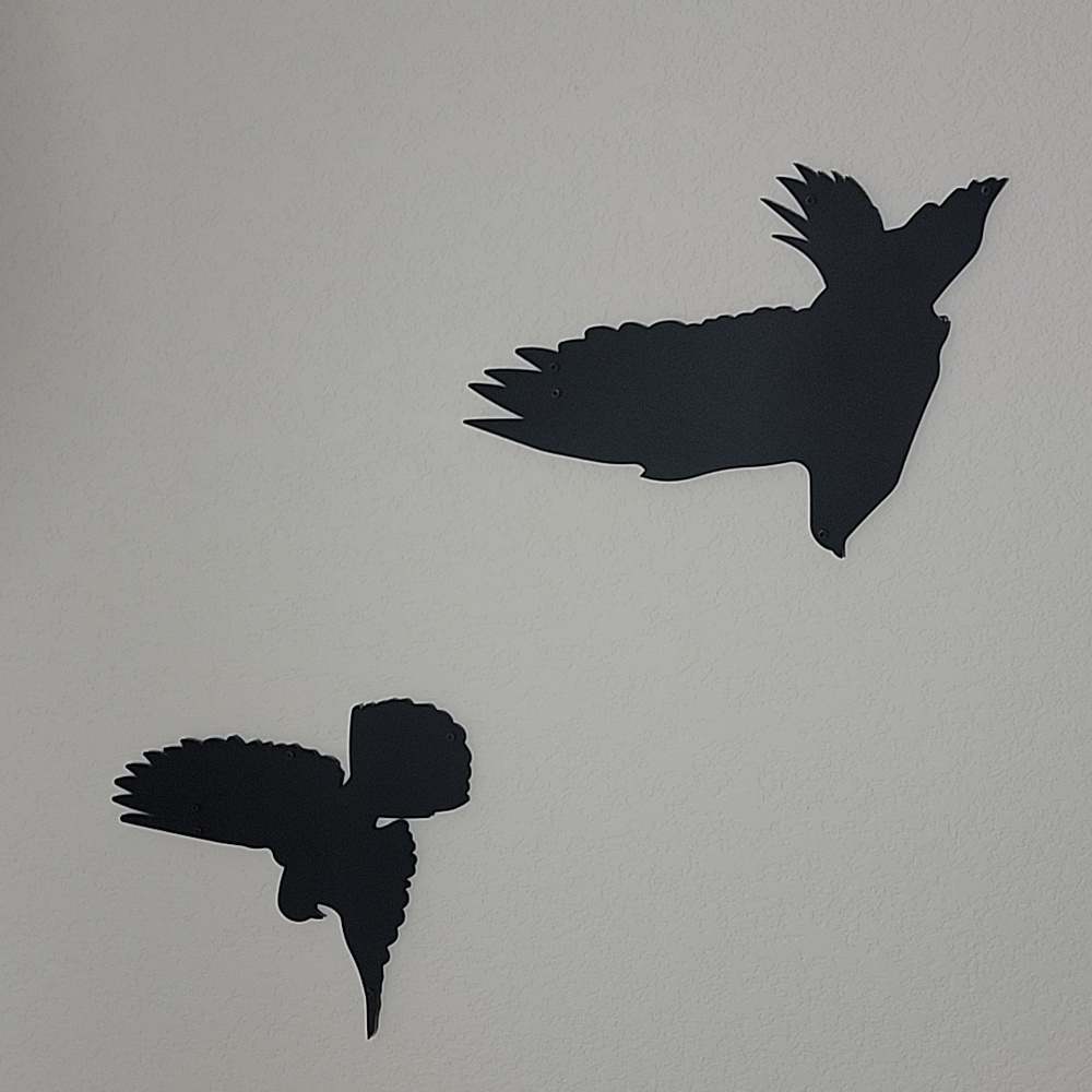 Birds - Picture 1 of 8
